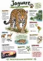 Vorschau - Arbeitsblätter - Lernplakat + AB mit Fragen zum Thema "Jaguare" + Lösungsblatt + Infografik - Deckblatt