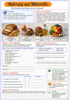 Vorschau - Unterrichtsreihen - Ernährung und Verdauung – 15 Arbeitsblätter | Biologie Klasse 5/6 - Seite 3