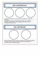 Vorschau - Arbeitsblätter - Sachunterricht / Tiere im Winter / Hefteintrag / Bildkarten - Seite 2
