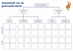 Voorbeeld - Systematiek van de gewervelde dieren - Biologie - Pagina 3