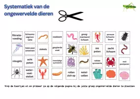 Voorbeeld - Systematiek van de ongewervelde dieren - Biologie - Pagina 2