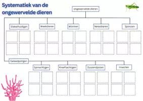 Voorbeeld - Systematiek van de ongewervelde dieren - Biologie - Pagina 3