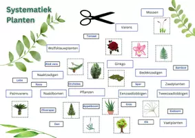Voorbeeld - Totalpakket - Biologie - Stefan Welles - Pagina 3