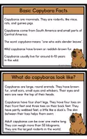 Vorschau - Mal- und Bastelvorlagen - Capybara Lapbook & Info Cards - Seite 1