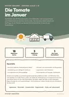 Vorschau - Arbeitsblätter - Mystery Erdkunde: Die Tomate im Januar – Almería, Plastikmeer, Grundwasser und Saisonarbeit (Klasse 7–10) - Seite 1