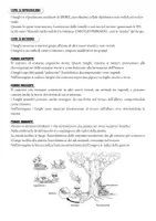 anteprima - Materiale di supporto/inclusione - approfondimento funghi - Pagina 1