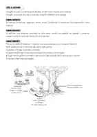 anteprima - Materiale di supporto/inclusione - approfondimento funghi - Pagina 3