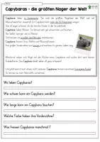 Vorschau - Arbeitsblätter - Wachsendes Materialpaket: Capybara-Klasse - Seite 3