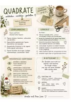Vorschau - Arbeitsblätter - VIERECKE: QUADRATE Fördermaterial - direkt einsetzbar - Seite 1