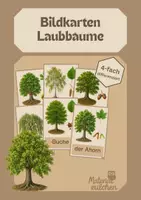 Vorschau - Bildkarten - Laubbäume - Bildkarten, 4-fach differenziert - Deckblatt