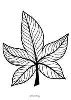 Vorschau - Arbeitsblätter - Magische Herbstblätter - Herbst Fensterbild - Seite 2