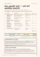 Vorschau - Klassenarbeiten - Dezimalbrüche Klassenarbeit Klasse 6 — Leistungsnachweis mit Erwartungshorizont, 2 Parallelarbeiten A und B, 40 BE - Seite 3