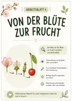 Vorschau - Arbeitsblätter - Von der Blüte zur Frucht - Deckblatt