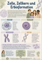 Vorschau - Arbeitsblätter - Genetik DNA Arbeitsblätter Biologie Gesamtpaket Genetik Reihe - Seite 3