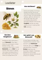 Vorschau - Unterrichtsreihen - Lesen- Lesefächer Bienen | Leseförderung, Sachtexte - Seite 2