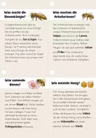 Vorschau - Unterrichtsreihen - Lesen- Lesefächer Bienen | Leseförderung, Sachtexte - Seite 3