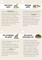 Vorschau - Unterrichtsreihen - Lesen- Lesefächer Wölfe | Leseförderung, Sachtexte - Seite 3
