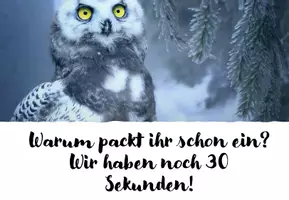 Vorschau - Poster - Meme - Regeln (34 Memes als Präsentation/Postkarten /Wandposter nutzbar!) - Seite 1