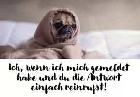 Vorschau - Poster - Meme - Regeln (34 Memes als Präsentation/Postkarten /Wandposter nutzbar!) - Seite 2