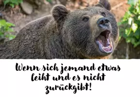 Vorschau - Poster - Meme - Regeln (34 Memes als Präsentation/Postkarten /Wandposter nutzbar!) - Seite 3