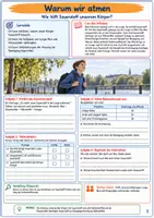 Vorschau - Unterrichtsreihen - Atmung & Blutkreislauf - 15 Arbeitsblätter | Biologie Klasse 5/6 - Seite 3