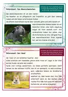 Vorschau - Arbeitsblätter - Abschreibkartei Haustiere, Schreibübung, Rechtschreibung - Seite 2