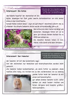 Vorschau - Arbeitsblätter - Abschreibkartei Haustiere, Schreibübung, Rechtschreibung - Seite 3
