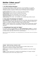 Vorschau - Arbeitsblätter - Lernposter + Arbeitsblätter zum Thema "Versicherung" + Lösung & MP3 + Mindmap + Infografiken - Seite 2