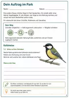 Vorschau - Arbeitsblätter - Vogelschnäbel und Nahrungserwerb – Mission Schnabelcheck | Biologie Klasse 5-6 - Seite 2