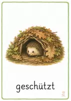 Vorschau - Fördermaterial/Inklusion - Igel Bildkarten Klasse 1–2 - Seite 2