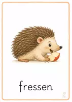 Vorschau - Fördermaterial/Inklusion - Igel Bildkarten Klasse 1–2 - Seite 1