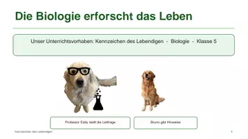 Vorschau - Unterrichtsreihen - Materialpaket: Materialsammlung Sek I Biologie - Deckblatt