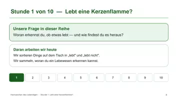 Vorschau - Unterrichtsreihen - Materialpaket: Materialsammlung Sek I Biologie - Seite 2