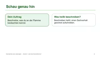 Vorschau - Unterrichtsreihen - Materialpaket: Materialsammlung Sek I Biologie - Seite 3