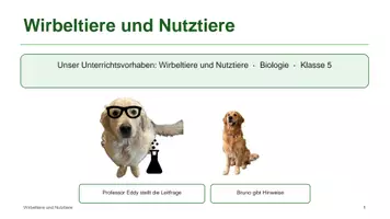 Vorschau - Unterrichtsreihen - Materialpaket: Wirbeltiere und Nutztiere - Deckblatt