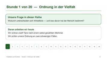 Vorschau - Unterrichtsreihen - Materialpaket: Wirbeltiere und Nutztiere - Seite 2