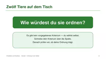 Vorschau - Unterrichtsreihen - Materialpaket: Wirbeltiere und Nutztiere - Seite 3