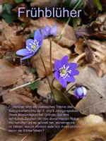 Vorschau - Unterrichtsreihen - Pflanzen im Frühling - Deckblatt