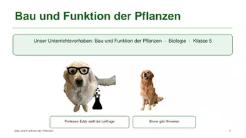 Vorschau - Unterrichtsreihen - Unterrichtsreihe: Bau und Funktion der Pflanzen - Deckblatt