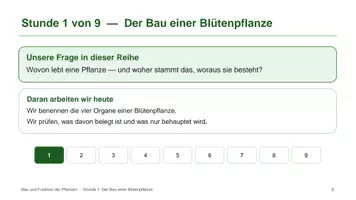 Vorschau - Unterrichtsreihen - Materialpaket: Aufbau und Funktion der Pflanzen - Seite 2