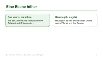 Vorschau - Unterrichtsreihen - Unterrichtsreihe: Bau und Funktion der Pflanzen - Seite 3