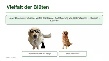 Vorschau - Unterrichtsreihen - Unterrichtsreihe: Blütenpflanzen - Deckblatt