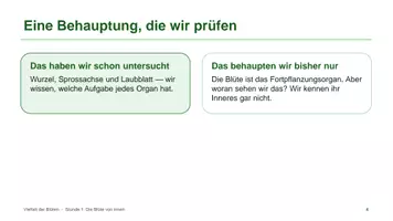 Vorschau - Unterrichtsreihen - Unterrichtsreihe: Blütenpflanzen - Seite 3