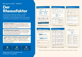 Vorschau - Stundenentwürfe - Der Rhesusfaktor – Biologie Klasse 8/9 - Deckblatt
