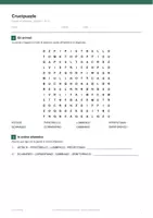 anteprima - Esercizi - 🧩 Crucipuzzle classe quarta: giochi di parole, 10 schede - Pagina 2
