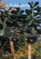Vorschau - Unterrichtsreihen - Vorschläge zur Unterrichtsgestaltung am Beispiel "Sukkulente" - Deckblatt
