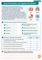 Vorschau - Arbeitsblätter - Immunsystem kompakt – Schutz des Körpers verstehen – Biologie, Klasse 8 - Seite 3