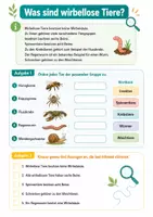 Vorschau - Arbeitsblätter - Wirbellose Tiere entdecken kompakt – Biologie, Klasse 5–6 - Seite 2