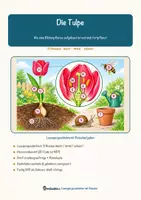 Vorschau - Mal- und Bastelvorlagen - Die Tulpe – Lesespurgeschichte mit Rätselaufgaben (Klasse 8) - Seite 1