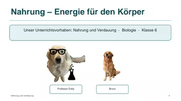 Vorschau - Unterrichtsreihen - Unterrichtsreihe: Nahrung und Verdauung - Deckblatt
